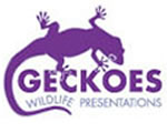 Geckoes Wildlife Presentations - Maitland Accommodation 3