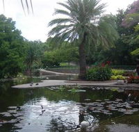 Brisbane City Botanic Gardens - Maitland Accommodation