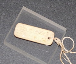  Maitland Accommodation