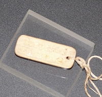 MacArthur Museum - Maitland Accommodation