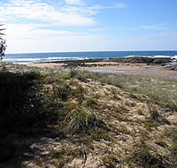 Deepwater National Park - Maitland Accommodation