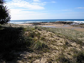 Deepwater National Park - Maitland Accommodation 0