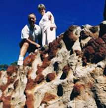 Mystery Craters - Maitland Accommodation 2