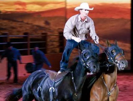 Australian Outback Spectacular - Maitland Accommodation 1