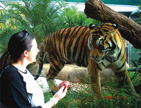 Crocodylus Park - Maitland Accommodation 1