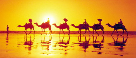 Banksia Adventures - Maitland Accommodation 1