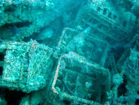 Underwater Sports Diving Centre - Maitland Accommodation 0