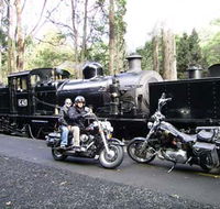 Andy's Harley Rides - Maitland Accommodation
