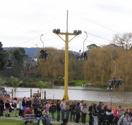 Caribbean Gardens - Maitland Accommodation 2