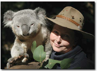 Koala Park Sanctuary - Maitland Accommodation 2