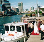 Bay  River Cruises - Maitland Accommodation