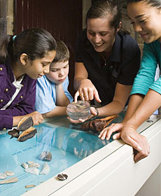 The Rocks Discovery Museum - Maitland Accommodation 3