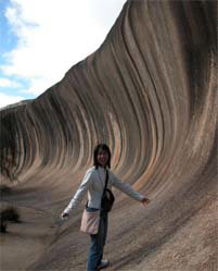 Kookaburra Air - Maitland Accommodation 3