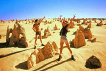 Kookaburra Air - Maitland Accommodation 4