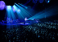 Brisbane Convention & Exhibition Centre - Maitland Accommodation 4