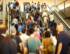 Brisbane Convention & Exhibition Centre - Maitland Accommodation 5