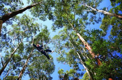 FreemanX Experience - Maitland Accommodation 5