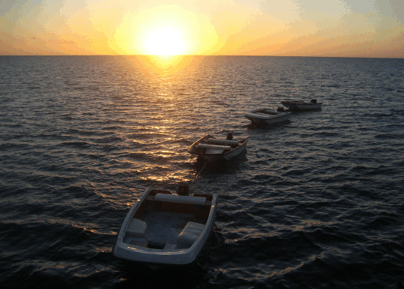 Carlo Fishing Charters - Maitland Accommodation 2
