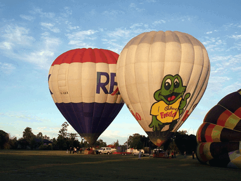 Balloons Over Brisbane - Maitland Accommodation 2