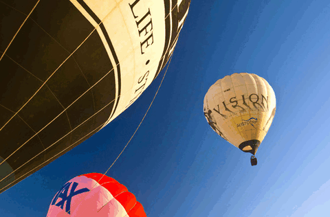 Balloons Over Brisbane - Maitland Accommodation 5