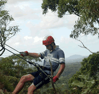 Adventures Around Brisbane - Maitland Accommodation