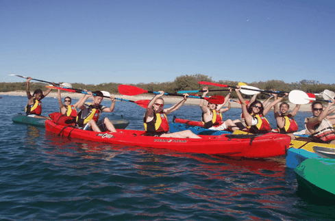 Australian Kayaking Adventures - Maitland Accommodation