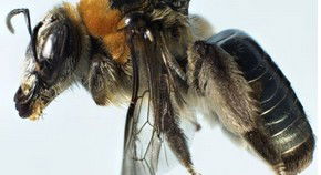 Western Australian Museum - Maitland Accommodation 0