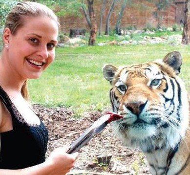 National Zoo & Aquarium - Maitland Accommodation 4