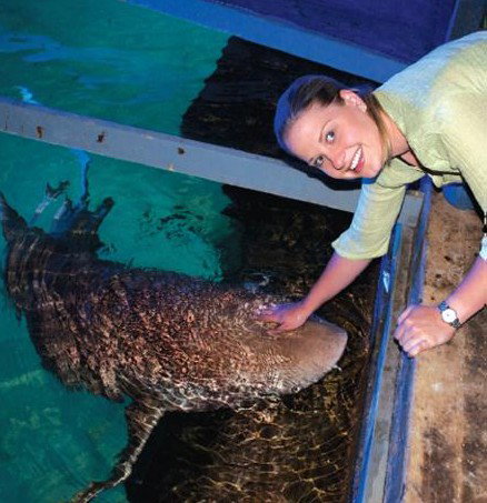 National Zoo & Aquarium - Maitland Accommodation 7