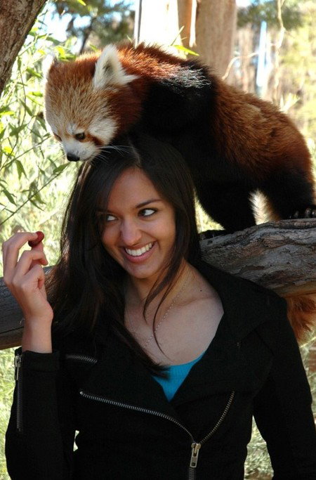 National Zoo & Aquarium - Maitland Accommodation 8