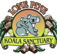 Lone Pine Koala Sanctuary - Maitland Accommodation