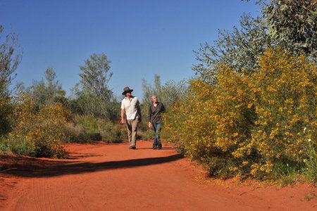 Alice Springs Desert Park - Maitland Accommodation 3