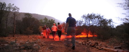 Alice Springs Desert Park - Maitland Accommodation 4