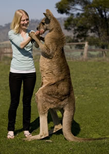 Zoo Doo Wildlife Park - Maitland Accommodation 5