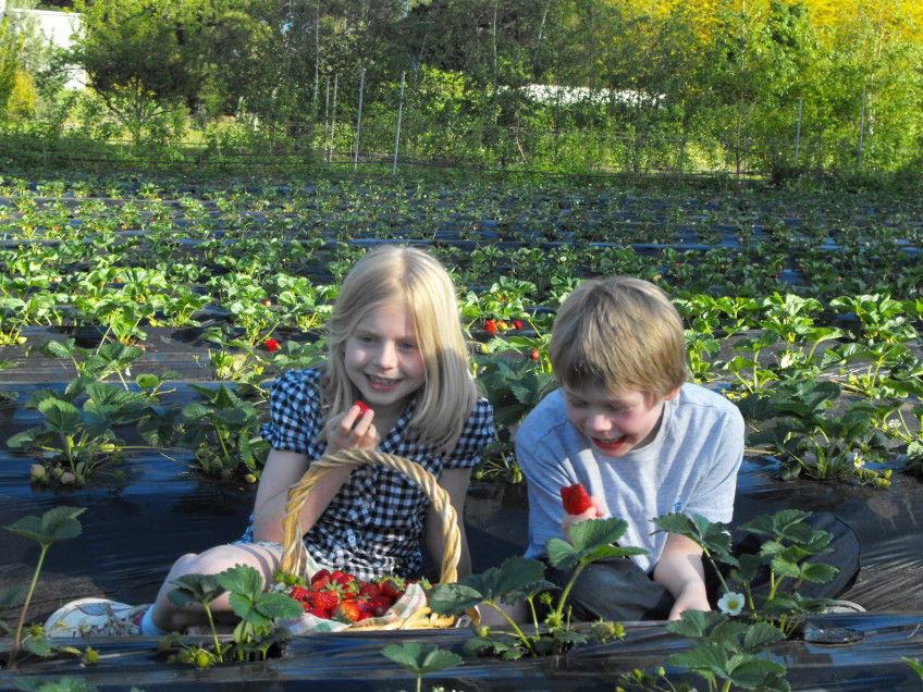  Maitland Accommodation