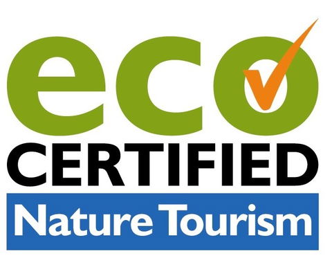 Aquascene Fish Feeding Sanctuary - Maitland Accommodation 4