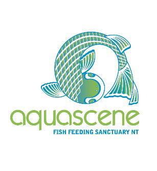 Aquascene Fish Feeding Sanctuary - Maitland Accommodation 5