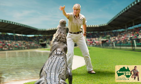 Australia Zoo - Maitland Accommodation 1