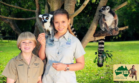 Australia Zoo - Maitland Accommodation 2