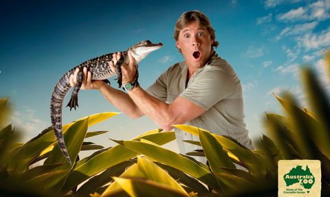 Australia Zoo - Maitland Accommodation 3