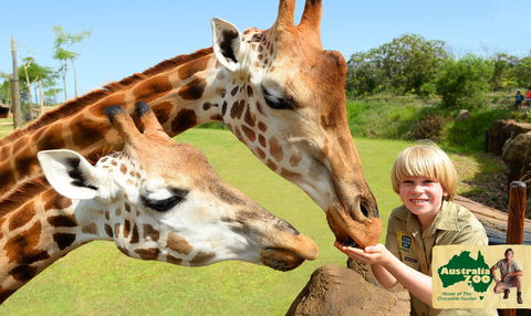 Australia Zoo - Maitland Accommodation 4