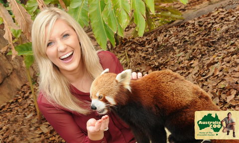 Australia Zoo - Maitland Accommodation 7