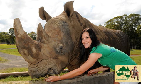 Australia Zoo - Maitland Accommodation 8