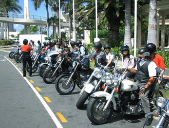 Wildfire Tours - Maitland Accommodation 1