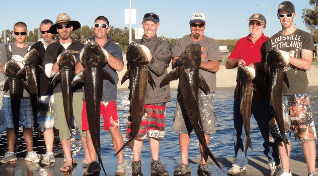 BKs Gold Coast Fishing Charters - Maitland Accommodation 1