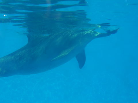 Clarence River BBQ Boats - Maitland Accommodation 2