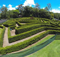 Bellingham Maze - Maitland Accommodation