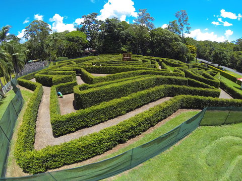 Bellingham Maze - Maitland Accommodation 0