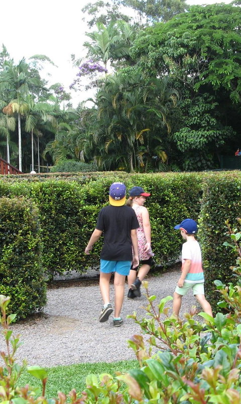 Bellingham Maze - Maitland Accommodation 2