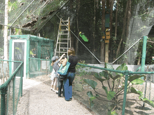 Bellingham Maze - Maitland Accommodation 7